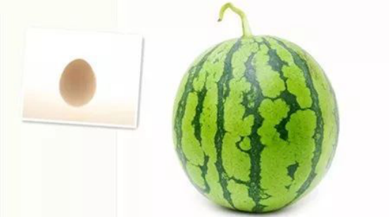 子宮復舊 子宮復舊