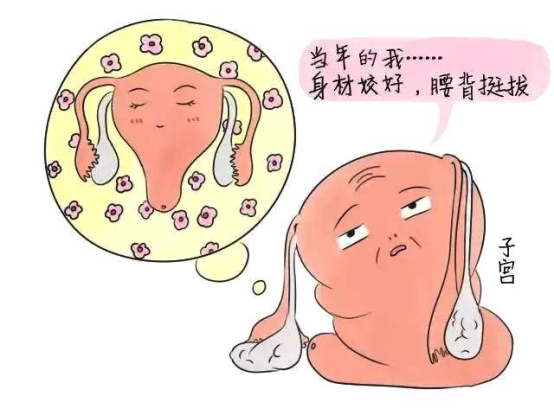 產(chǎn)后恢復 產(chǎn)后恢復