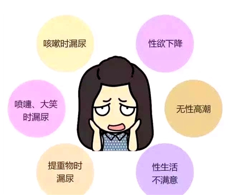 1559380073758941.jpg 盆底康復治療儀