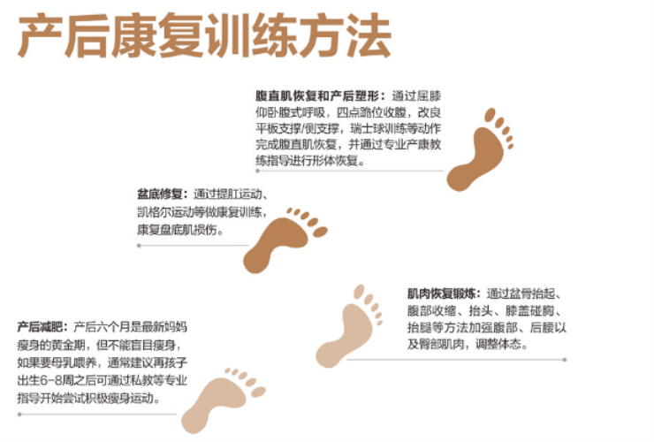 1559547412304601.png 盆底康復治療