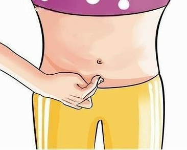 1563863970584009.png 腹直肌修復