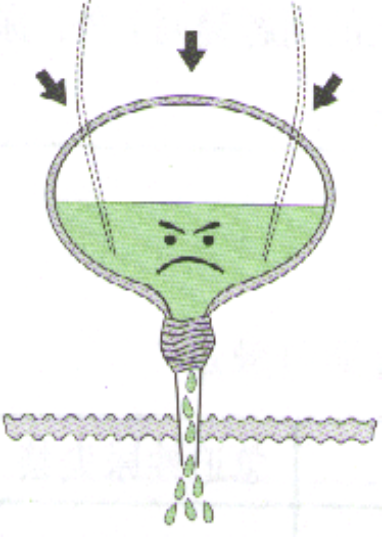 1563956847340605.png 盆底功能性障礙