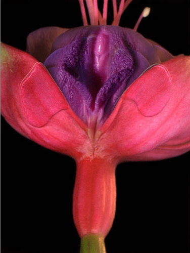 1570498011810782.png 盆底肌修復