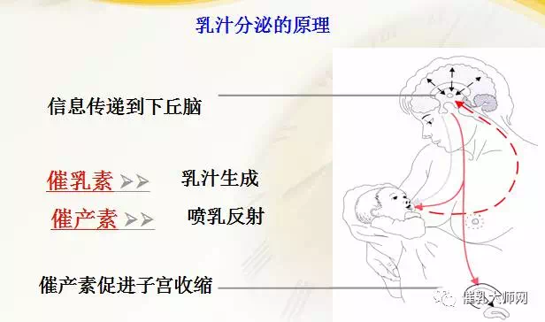 1571120451573683.png 母乳分析