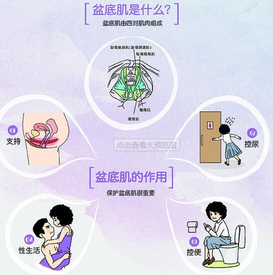 1572848029154851.jpg 盆底功能檢測