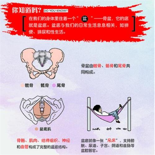 1572850619140296.jpg 產(chǎn)后盆底肌修復