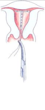 1573545405101812.png 圖片5.png