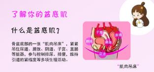 1573804981850318.jpg 盆底肌修復