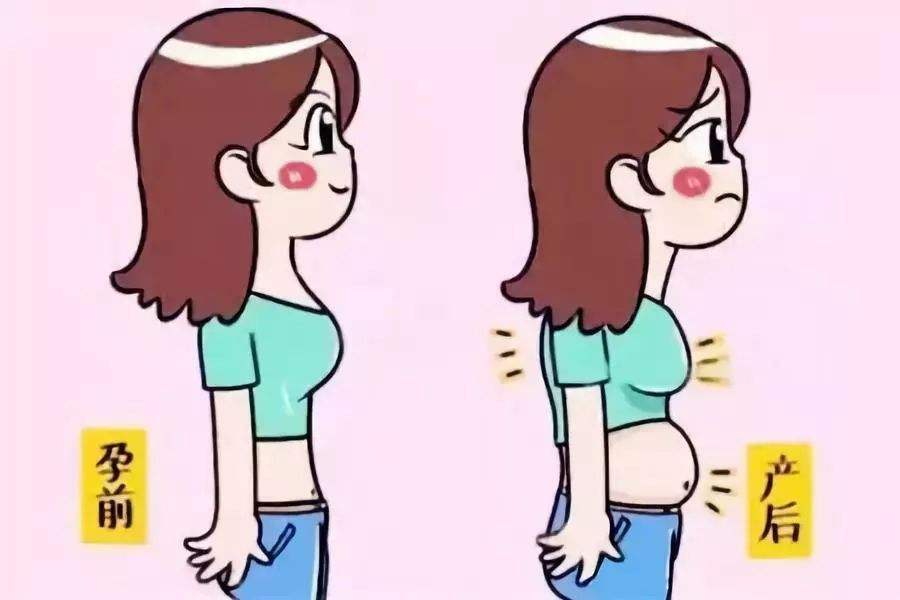 1574324590410839.jpg 腹直肌分離