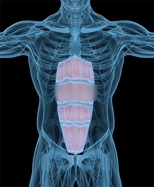 1574926837773972.jpg 產(chǎn)后腹直肌修復