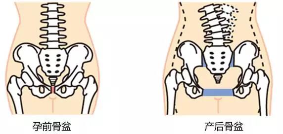1575620268895582.jpg 產(chǎn)后修復