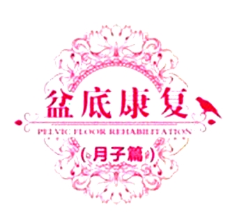 1575707272805102.jpg 盆底康復治療