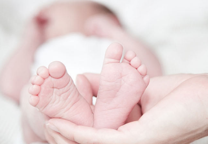 1576138792283338.png 腹直肌修復