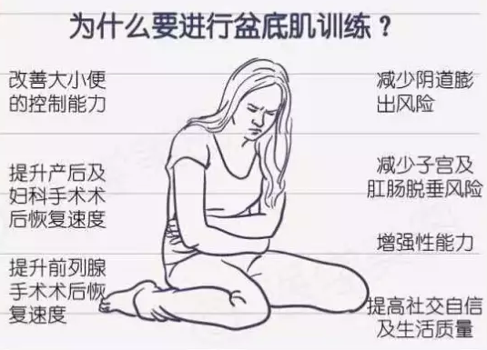 1578105721695710.png 盆底肌修復