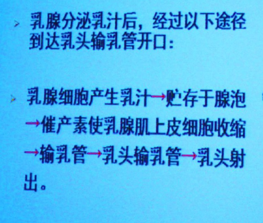 1578902665969660.png 母乳喂養