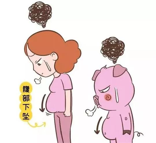 1579487138677270.jpg 腹直肌修復