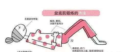 1581387514617259.png 盆底肌修復