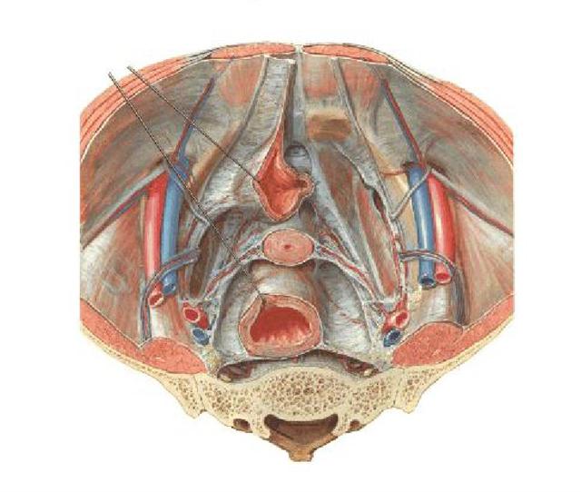 1585796355934340.jpg 圖片4.jpg