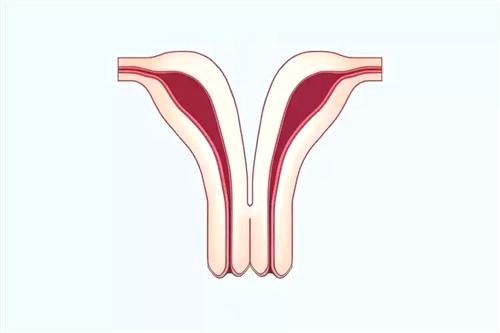 1587957888533676.jpg 1.jpg