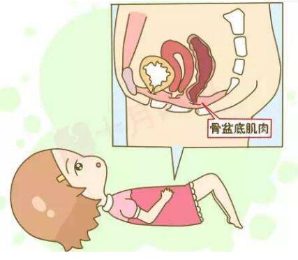 1589181814398305.jpg 盆底康復儀器.jpg