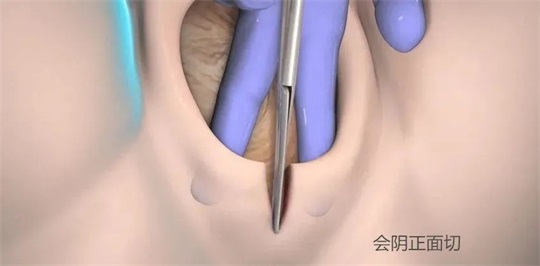 1601438083638500.jpg 圖片1.JPG