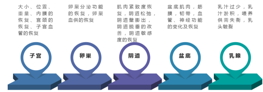 1602904552664059.png 產(chǎn)后修復(fù)