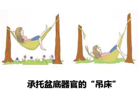 1605062942884940.png 盆底肌修復