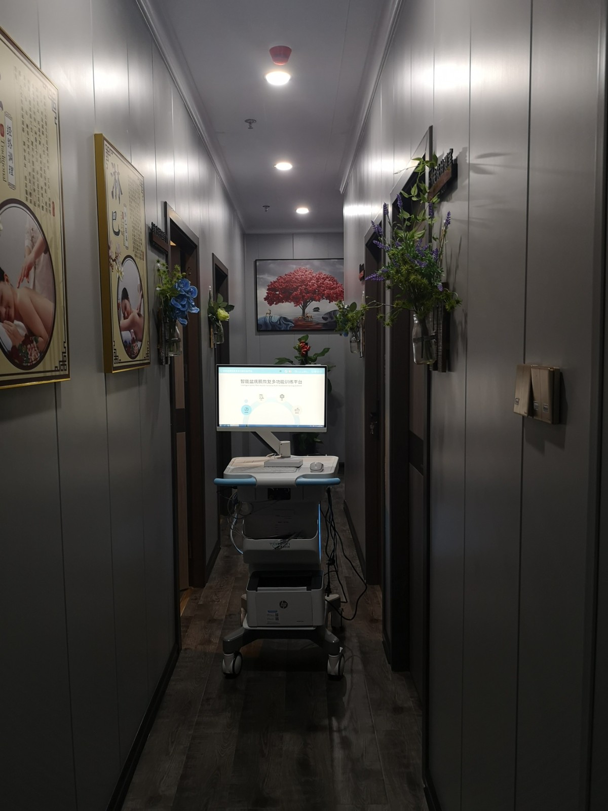 盆底康復治療儀 盆底康復治療儀