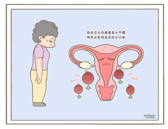 盆底肌修復儀器.jpg 盆底肌修復儀器.jpg