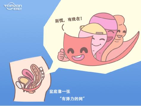 產(chǎn)后康復治療儀.jpg 產(chǎn)后康復治療儀.jpg