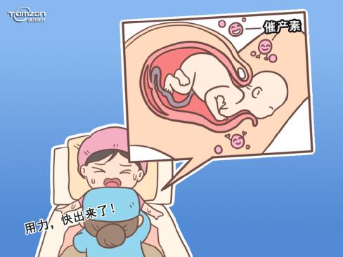 盆底肌修復儀器.jpg 盆底肌修復儀器.jpg