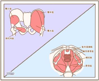 盆底康復儀器 盆底康復儀器