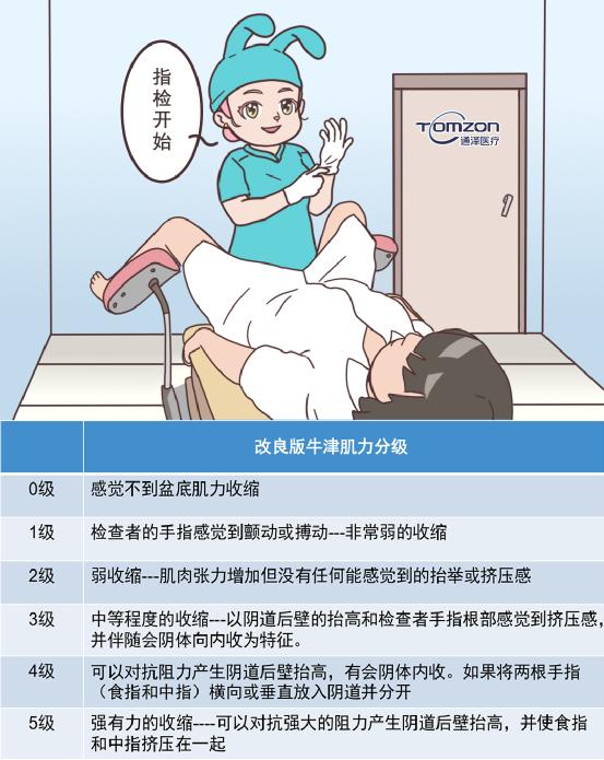 盆底康復治療儀 盆底康復治療儀